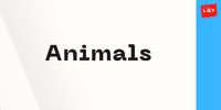 Learn Spanish: Animals
